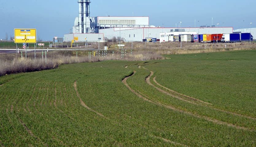 Dieses Grundstück im Bernburger Gewerbegebiet West wird dem italienischen Unternehmen Bresaole Pini für den Bau eines neuen Schlachthofes angeboten.