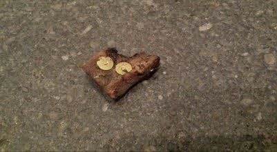 Die präparierten Köder waren im Mai 2015 in der August-Bebel-Straße verteilt und unauffällig hinter Mülltonnen versteckt.
