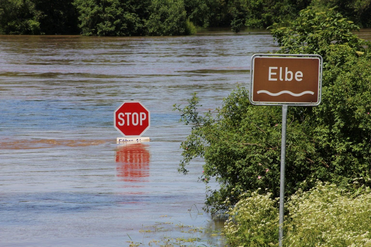 Blick auf die Anlegestelle der Elbfähre in Aken. Am 7. Juni war in Aken ein Elbe-Pegel von 7,64 Meter registriert worden.