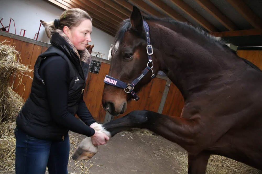 Pferdeosteopathin Nadine Apel testet bei Wallach Claudius die Beweglichkeit der Gelenke.