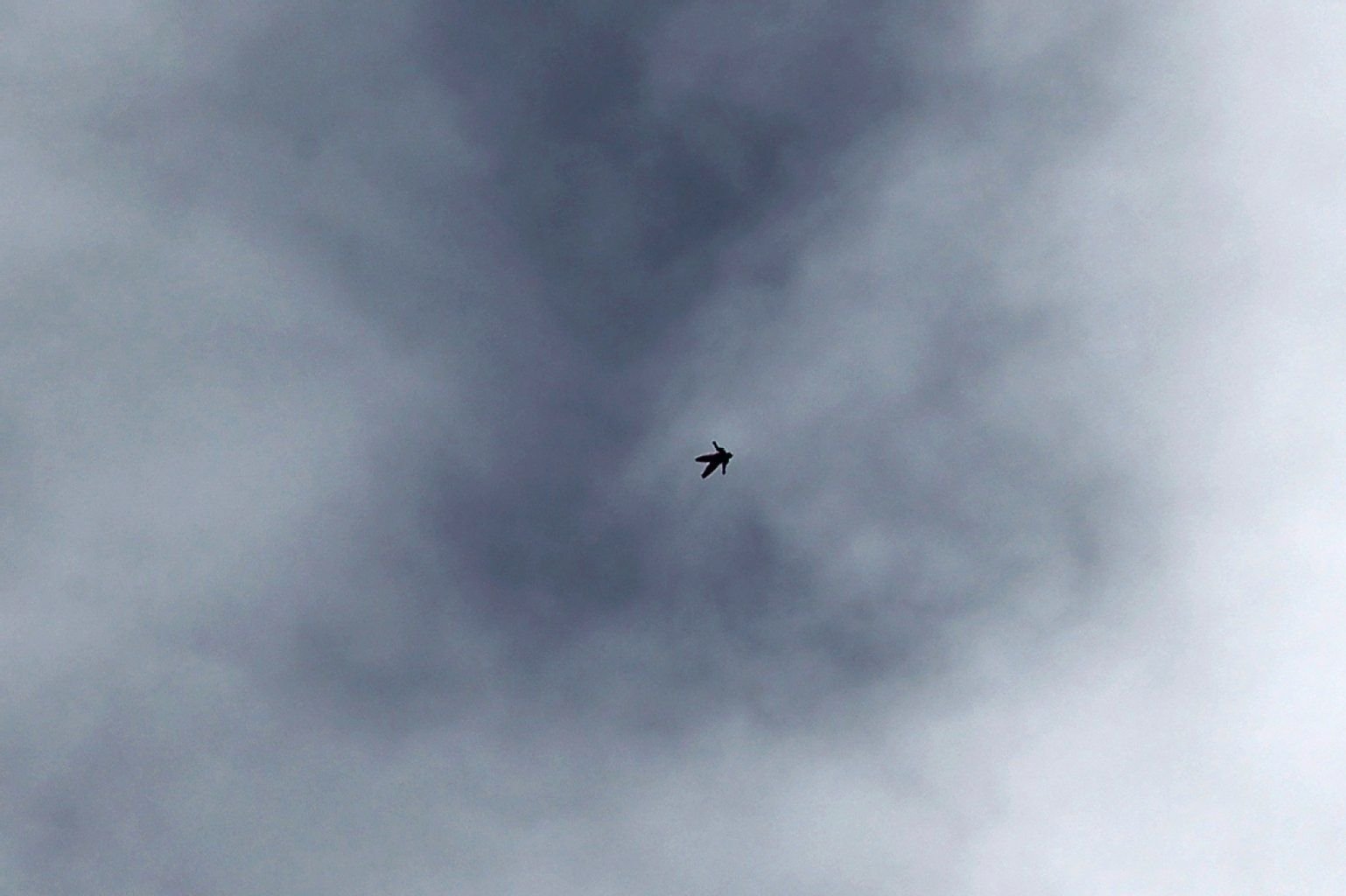 Ein Wingsuitspringer in den USA. Symbolbild.