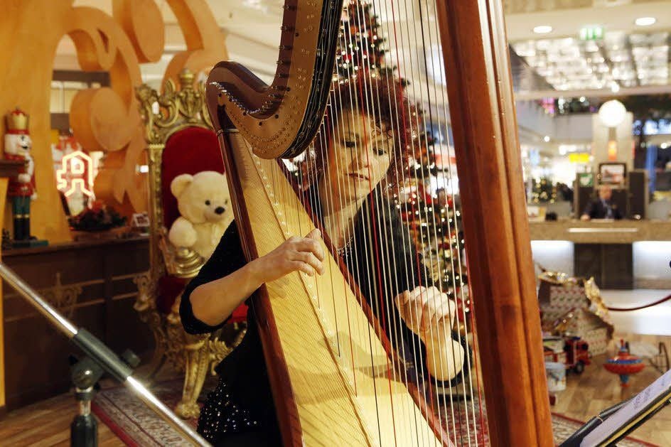 Die Harfenistin Anne Kox-Schinderlin spielte in der Rotunde.