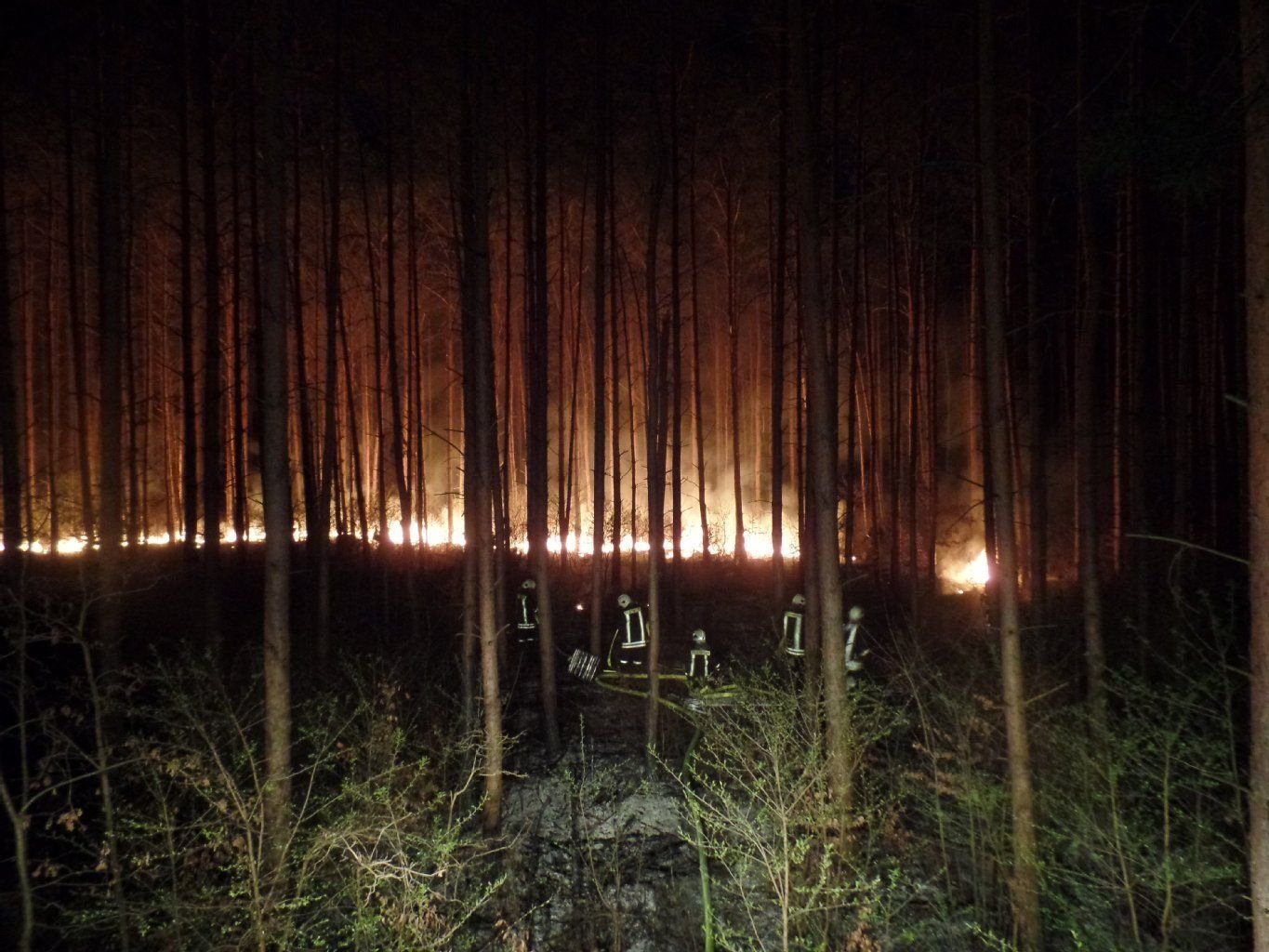Einsatzkräfte der Feuerwehr in Dessau-Roßlau bekämpfen den Waldbrand in der Hohen Straße am Mittwochabend.