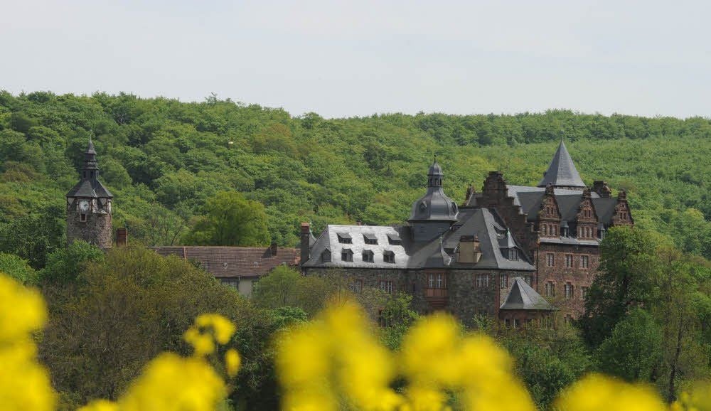 Der idyllische Eindruck täuscht: Die malerisch gelegene Rammelburg steht seit vielen Jahren leer und verfällt immer mehr.