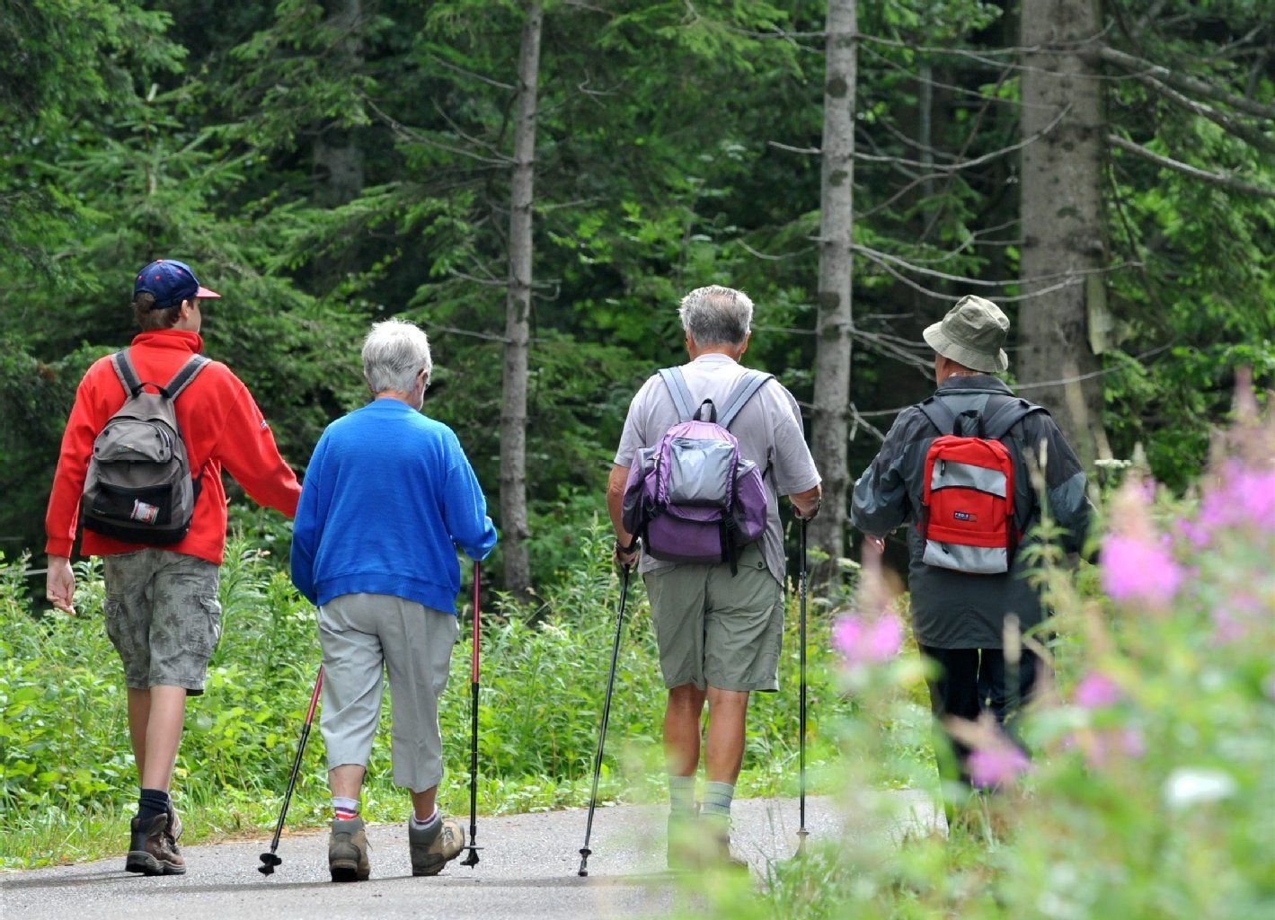 Wandern wird immer beliebter in Deutschland. Wichtig dabei: das richtige Schuhwerk.
