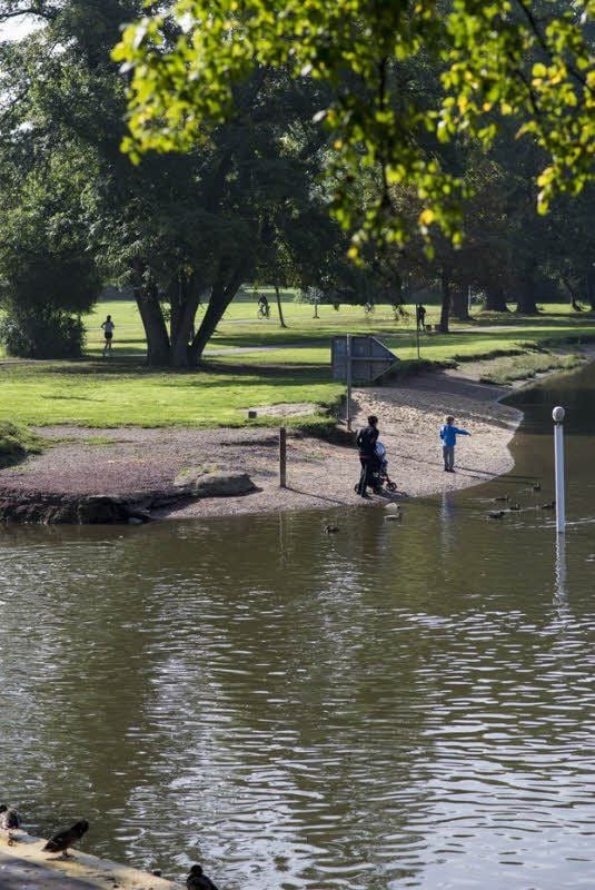 Fundort Ochsenbrücke: Von dort stammt die Wasserprobe.