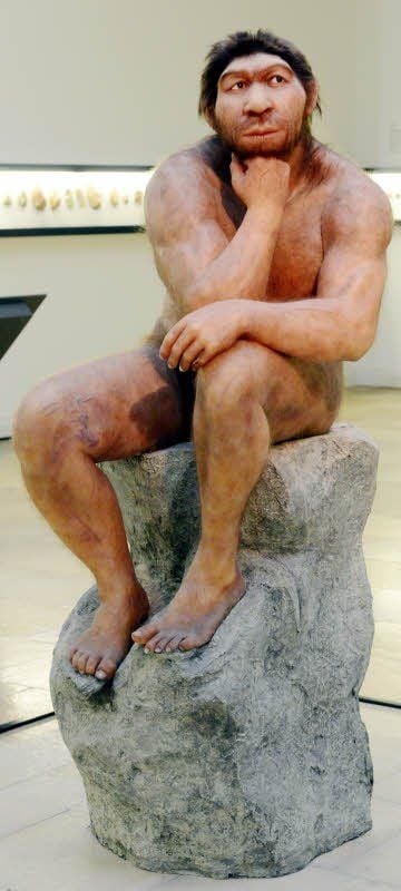 Unverkennbar unser Verwandter: Als „Der Denker“ ist er einer der Stars im Landesmuseum für Vorgeschichte. Dieser kluge Blick in die Ferne, wenn es gerade nix zu tun gibt! Und dann seine Liebe zum Dasitzen. Sämtliche Konferenzhansel aller Zeiten stammen von ihm ab.