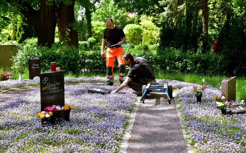 Dieses Quartier mit blühenden Bodendeckern hat die Stadt auf dem Weißenfelser Friedhof für Urnenstaudengräber vorbereitet.