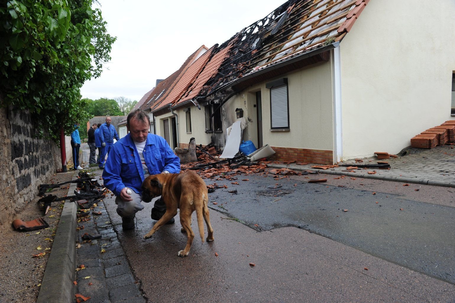 Hund Tara hat zwei Bewohnern das Leben gerettet.