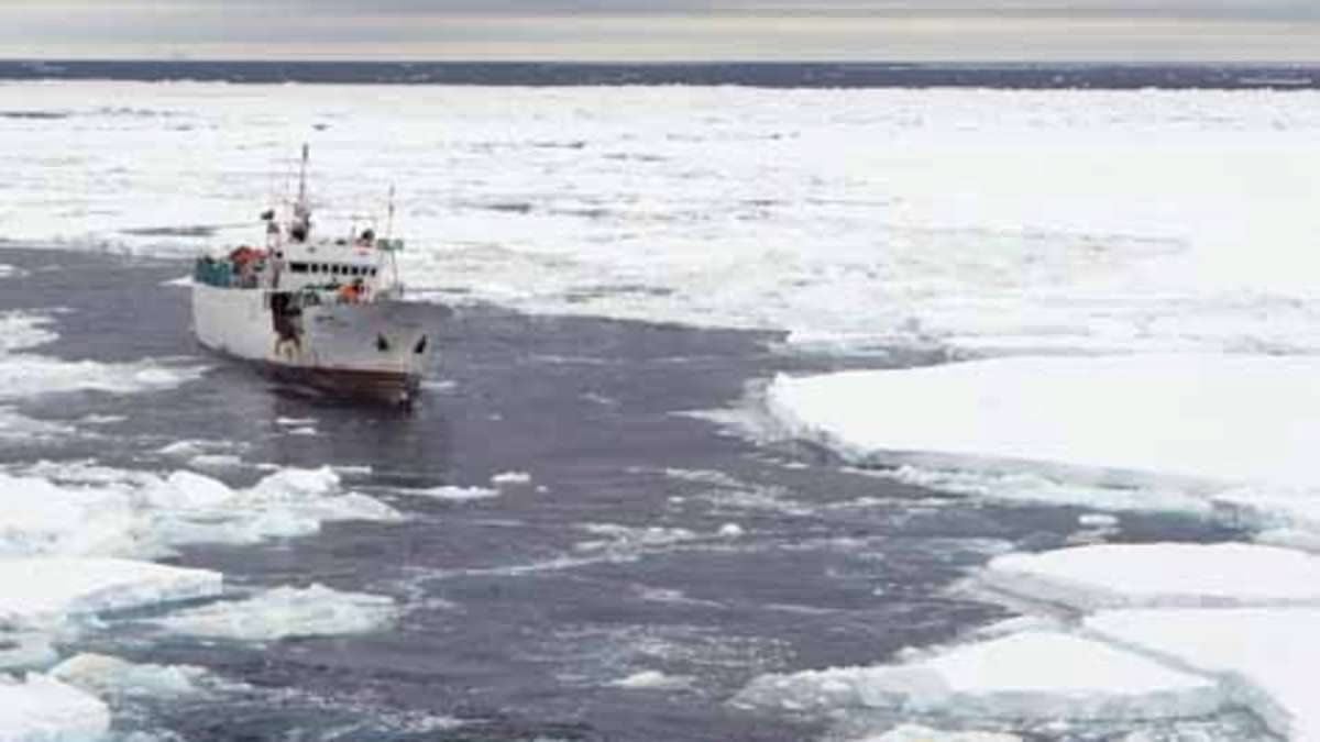 Im Osten Russlands sind mehrere Menschen beim Untergang eines Fischtrawlers ums Leben gekommen.