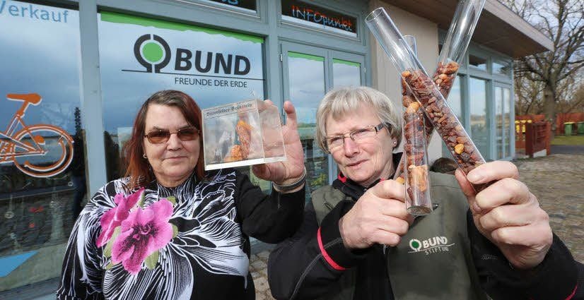 Marlene Schindler und Ilona Busch (r.) haben Bernstein - ohne Fisch.