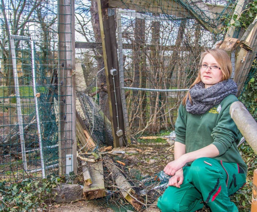 Lisa Krautschick hatte Spätdienst, als ein Baum auf das Eulengehege fiel.