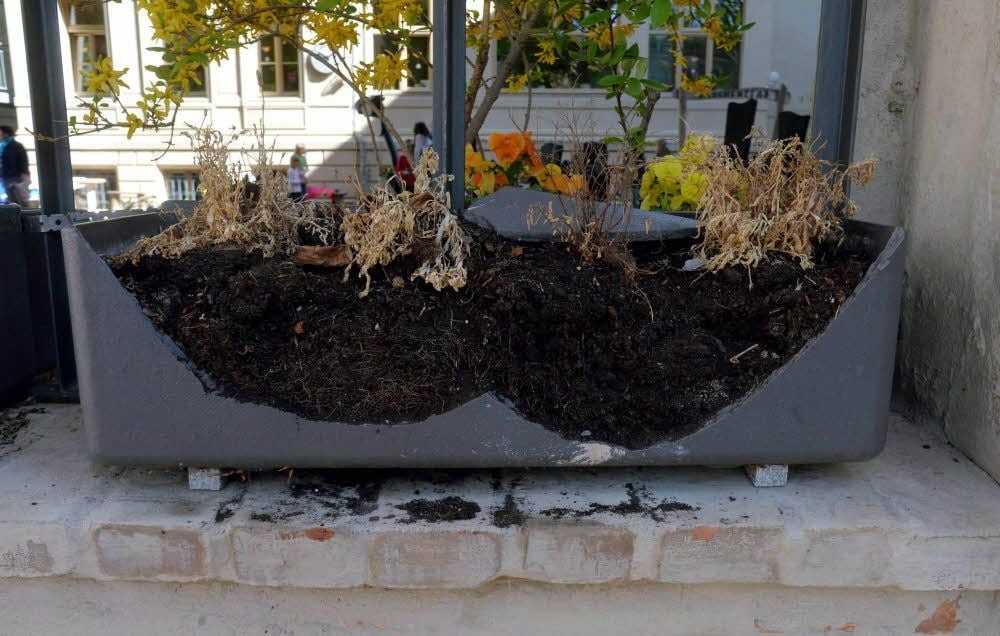 Kaputte Blumenkästen, beschmierte Wände und angeschnittene Seile - Schüler und Lehrer haben ein Bild der Verwüstung entdeckt.