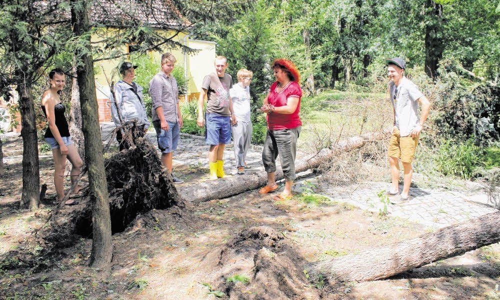 Erst kam die Flut in das „Nomansland“, dann ließ das schwere Unwetter auch noch Bäume umknicken.