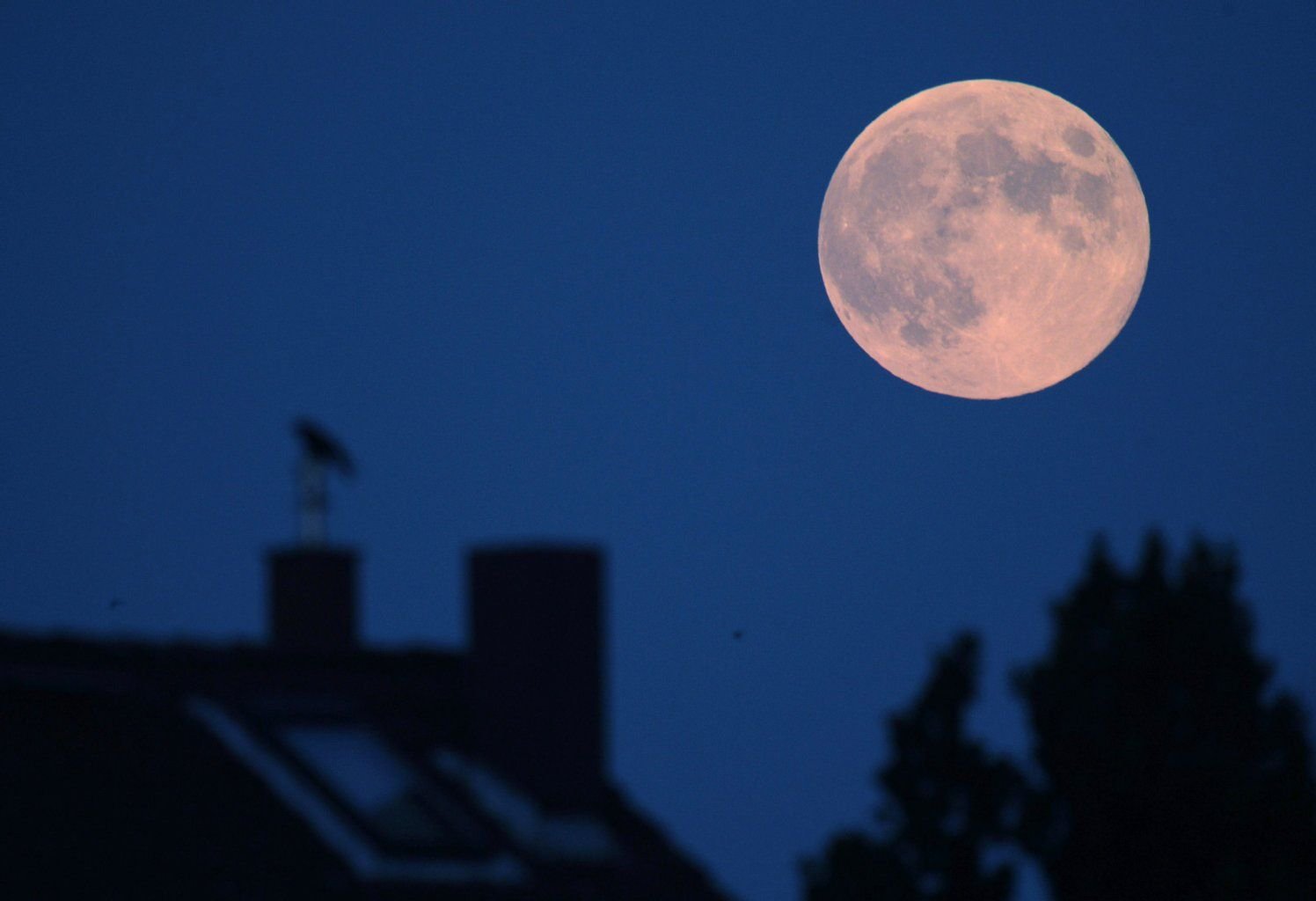 Wissenschaftler haben einen Beleg gefunden, dass der Mond tatsächlich den Schlaf des Menschen beeinflusst.