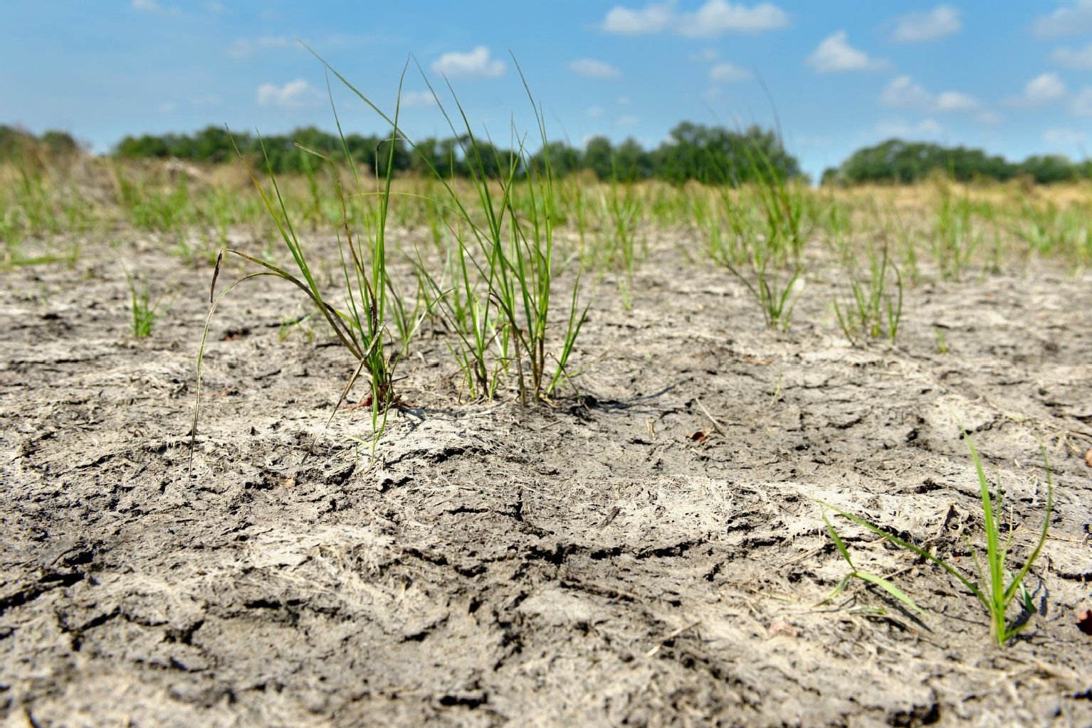 Das Hochwasser hinterließ große Flächen der Agrargesellschaft Wulfen in einem verheerenden Zustand.