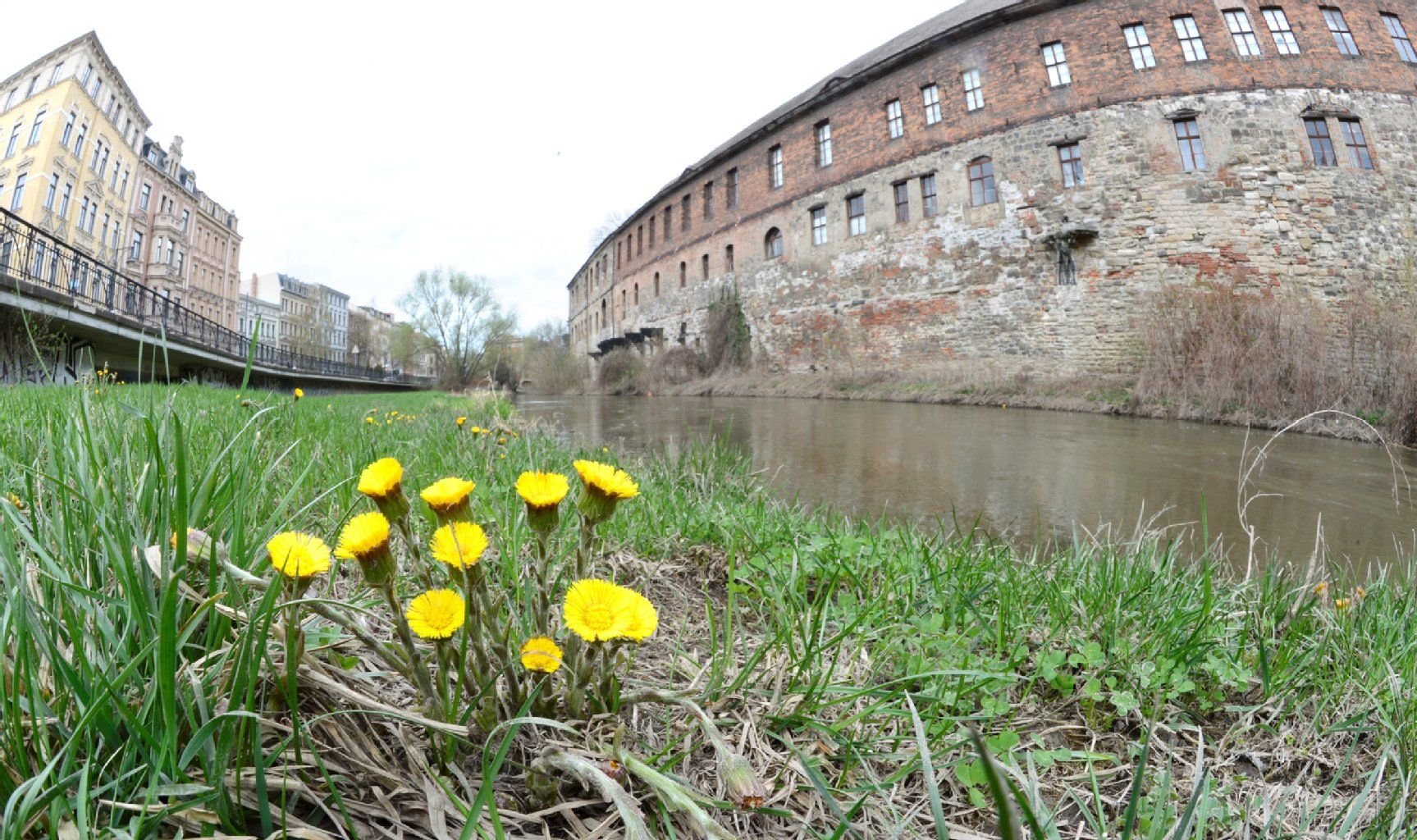 Ansicht des Mühlgrabens in Halle mit der Neuen Residenz (rechts)