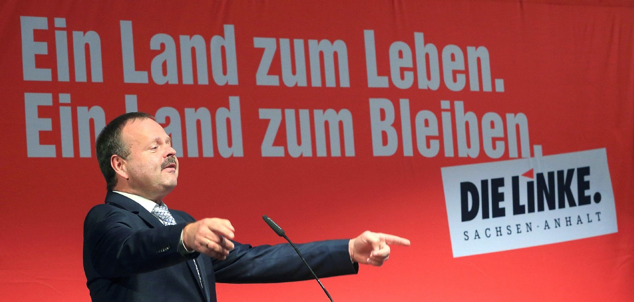 Wulf Gallert, Sachsen-Anhalts-Fraktionsvorsitzender der Partei Die Linke, spricht am 25.10.2014 während des Landesparteitages in Quedlinburg (Sachsen-Anhalt).