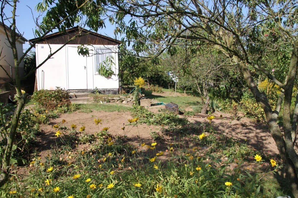 In diesem und einem weiteren Garten der Anlage „Bergfrieden“ in Sangerhausen waren die Leichenteile versteckt.
