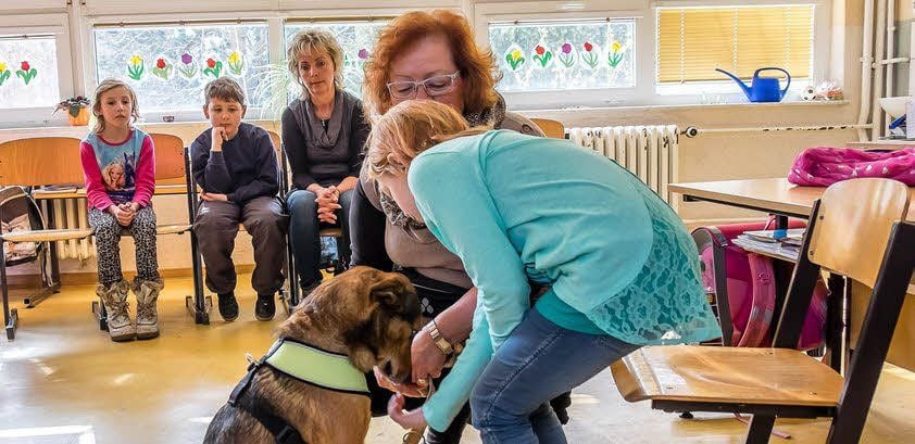 Mischlingshündin Tina war zu Gast in der zweiten Klasse.