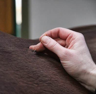 Mit einer drei Zentimeter langen Akupunkturnadel werden Verspannungen bei Pferden gelindert.