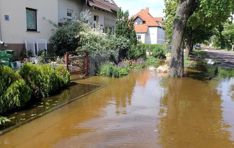 In Trebbichau stehen nur einige Häuser in der Wulfener Straße im Wasser.