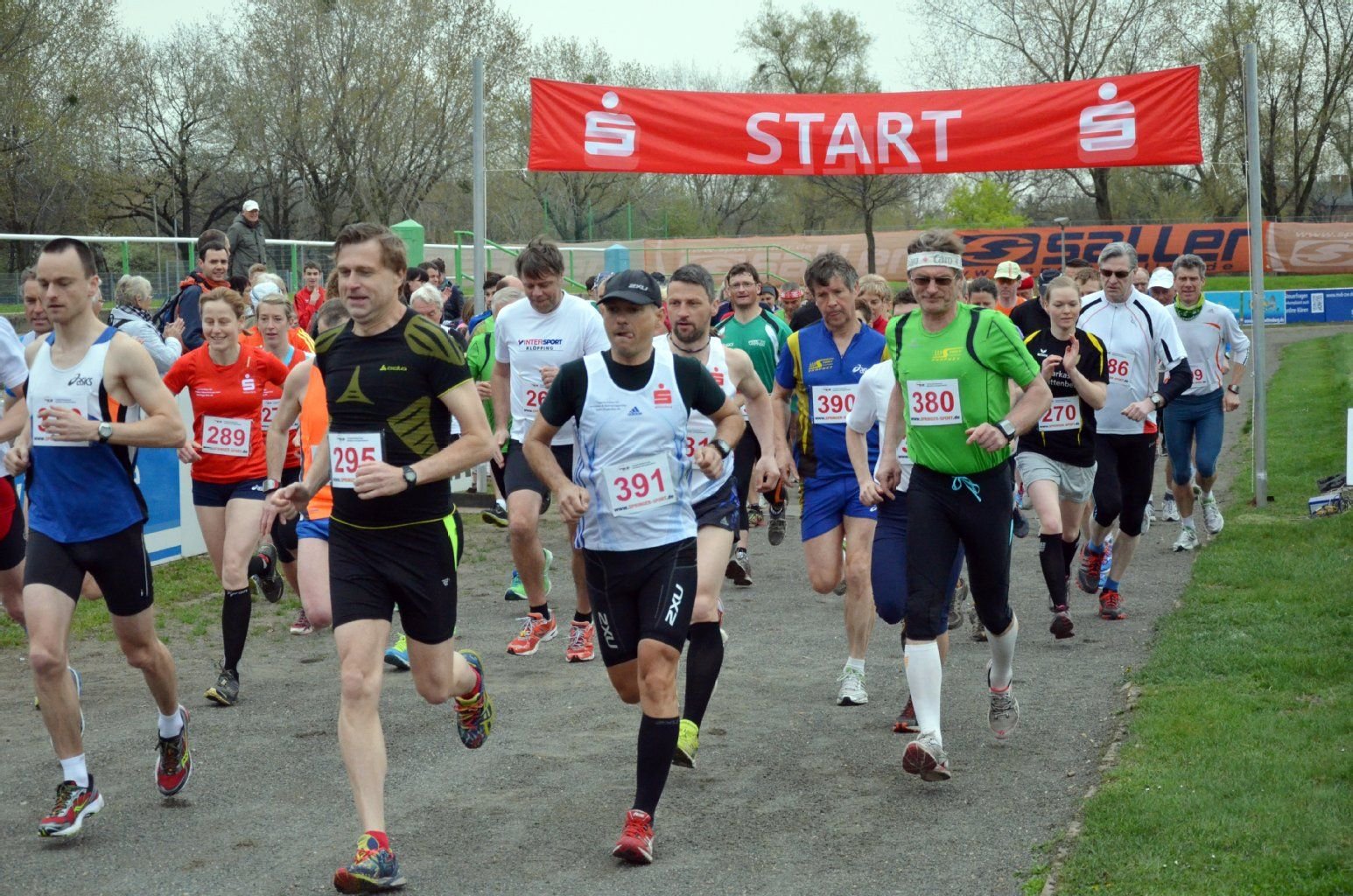 Wittenberger Fläminglauf 2013