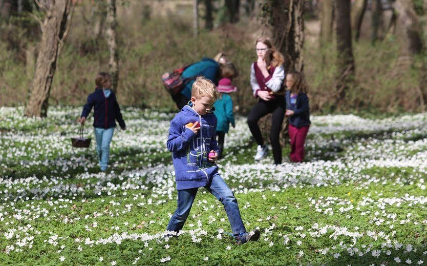 Bunte Eier und Schokolade konnten zwischen den Blumen entdeckt werden.