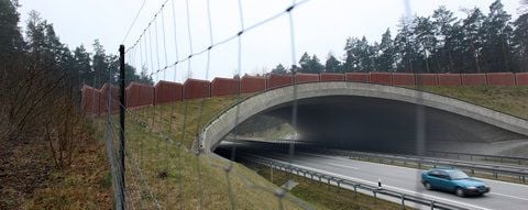 Die Wildtierbrücke über die Autobahn A11 nahe Greiffenberg (Uckermark). Sogenannte Grünbrücken sollen den Tieren sicher auf die andere Seite helfen. (FOTO: DPA)