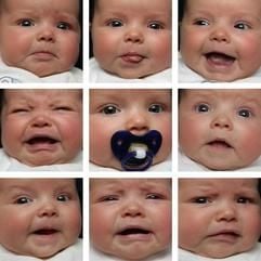 Die neunteilige Bildkombo zeigt die verschiedenen Gesichtsausdrücke eines neun Wochen alten Babys im brandenburgischen Sieversdorf. (Foto: dpa)