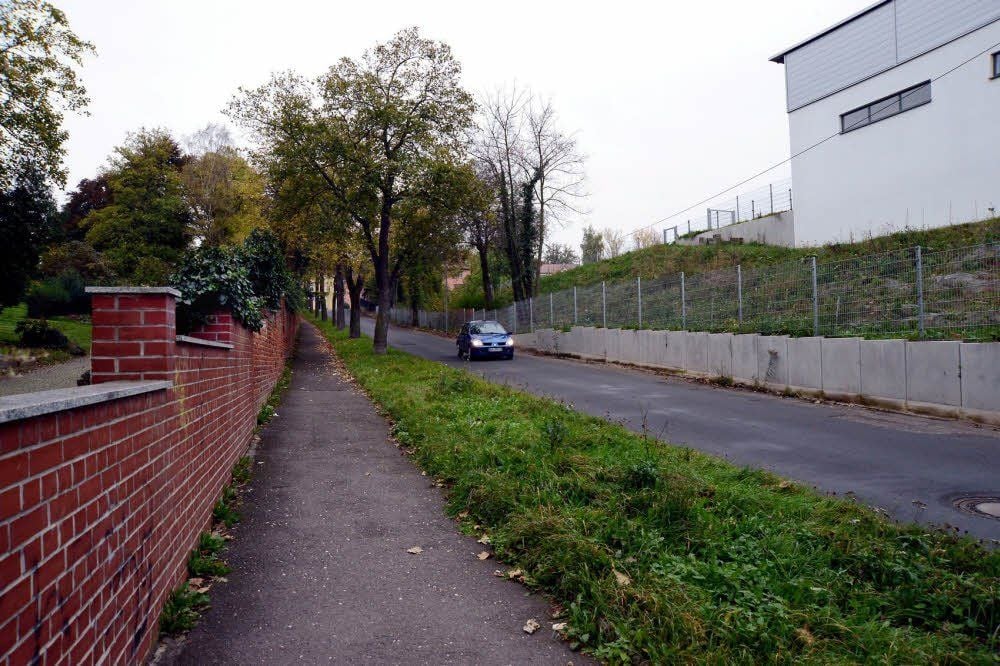 Auf der einen Seite der Dr.-Försheim-Allee fehlen noch Bäume.