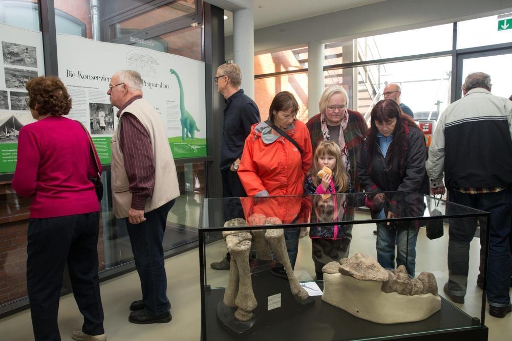 Die Ausstellung „Stille Giganten“ in Herzberg vermittelt Interessantes zum Leben der Dinosaurier.