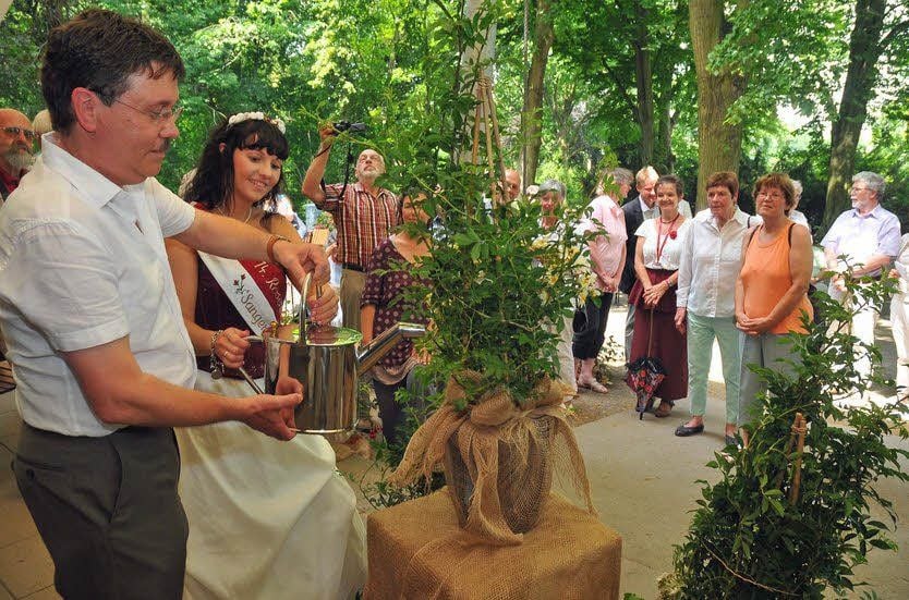 Stiftungsvorsitzender Hans-Joachim Schreiber und Rosenkönigin Doreen II. haben die Rose Mansfeld-Rambler getauft.