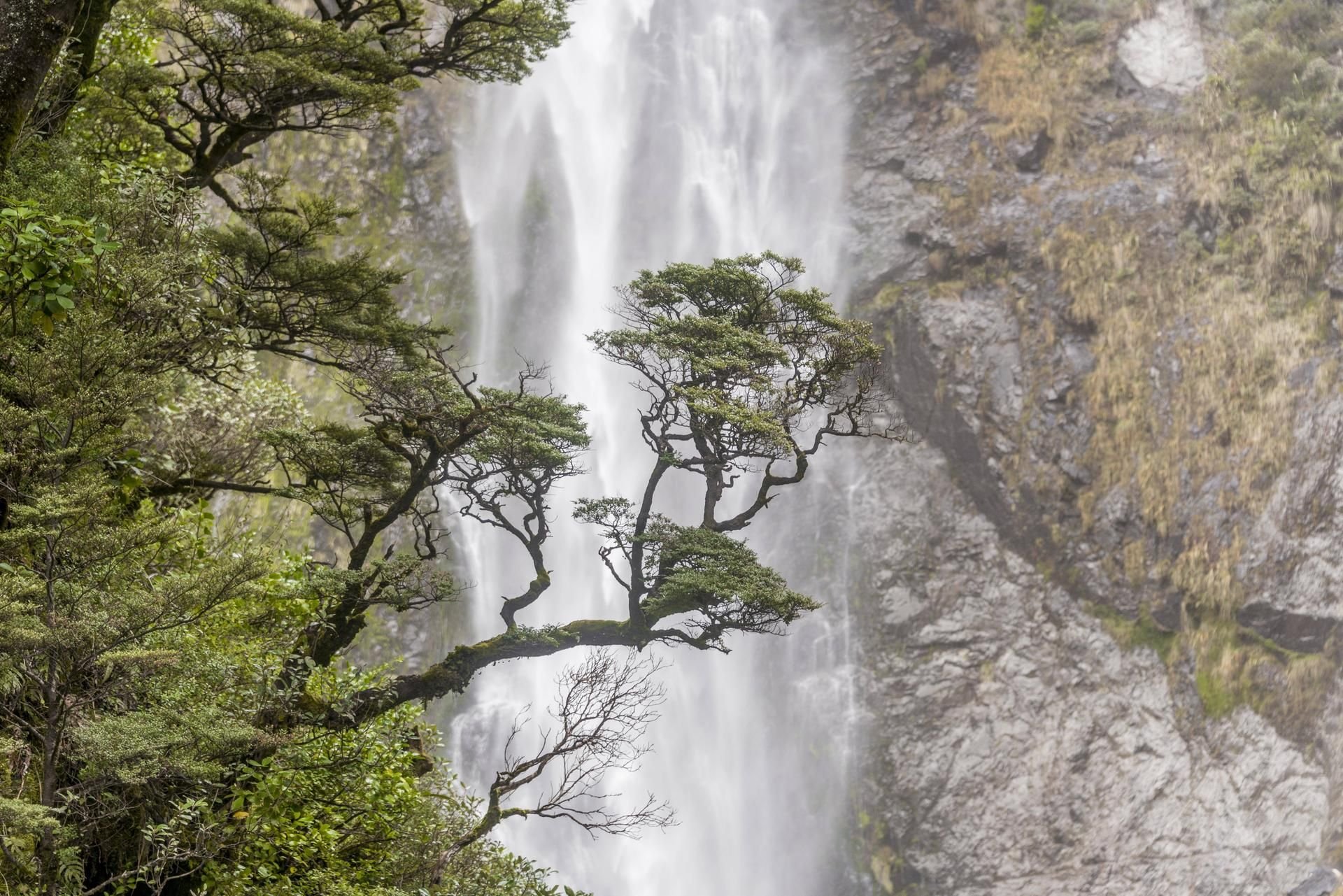 Wasserfall im Nationalpark Arthur's Pass, Neuseeland