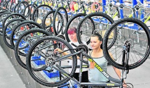 Im Minutentakt werden bei Mifa die Fahrräder montiert.