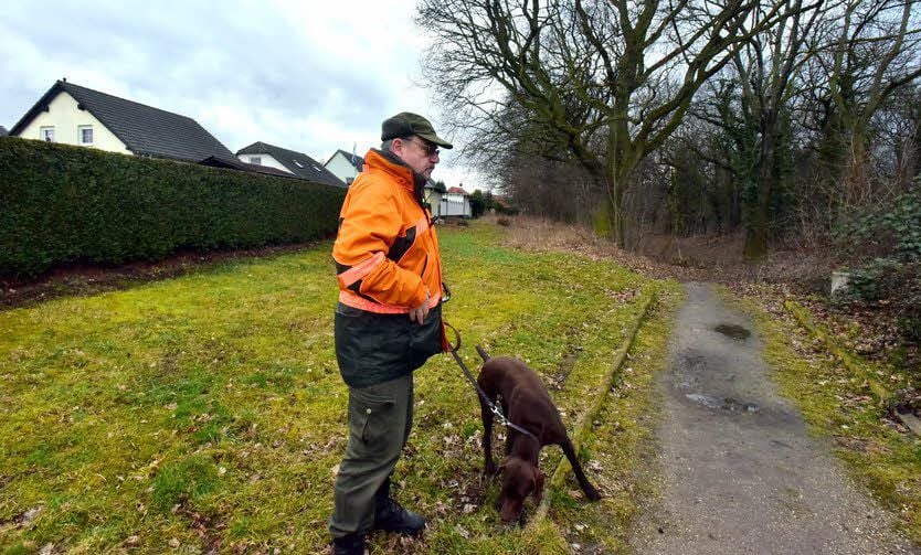 Stadtjägermeister Armin Deubel fand in diesem am Stadtrand von Weißenfels liegenden Wald ebenfalls ein totes Reh.
