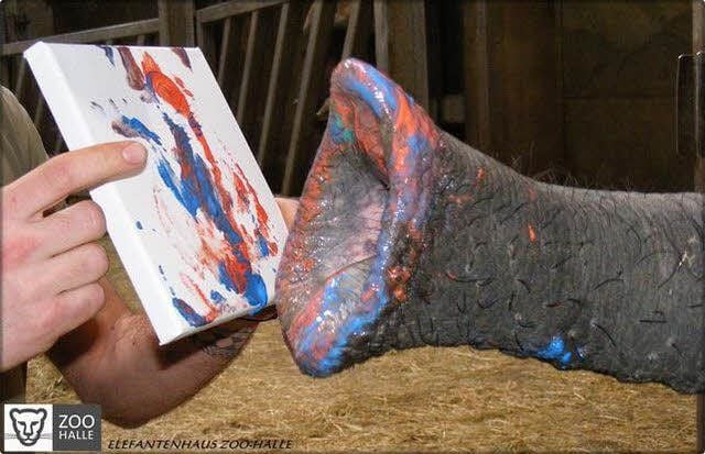 Nicht mit dem Pinsel, sondern mit dem Rüssel gemalt hat Elefantenbulle „Abu“ aus dem halleschen Zoo dieses Bild im vergangenen Jahr. Für derlei Beschäftigungen muss der Park Kritik von Tierschützern einstecken.