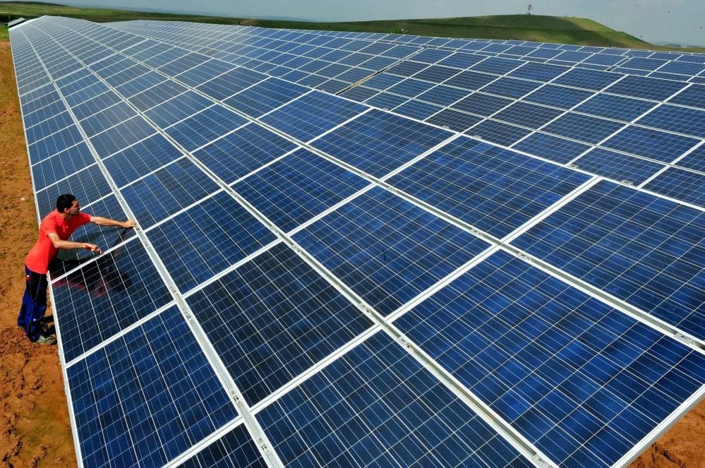 An der Güstener Straße von Aschersleben soll eine Solaranlage aufgebaut werden. Doch erst, wenn die Eidechsen umgezogen sind.