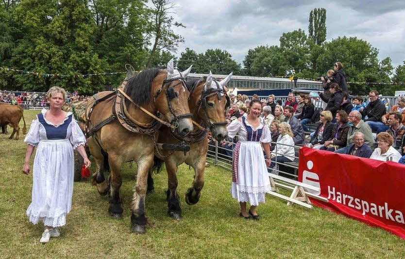 Elke (li.) und Anika Schwarz aus Badeborn mit einem Langholzwagen. Die Familie beteiligte sich in diesem Jahr erneut am Schauprogramm.