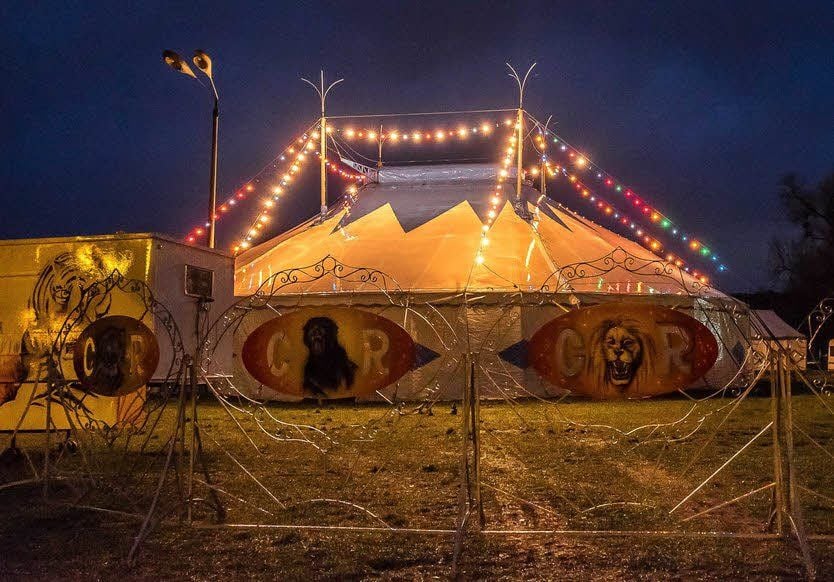 Bunt wie ein Weihnachtsbaum: Das Zelt des Cirkus Renz strahlt nur zu Weihnachten so, unterm Jahr sind die Birnen weiß.