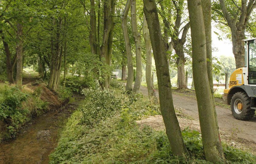 Der Deich An der Landwehr in Eisleben ist den Experten zufolge zu niedrig.