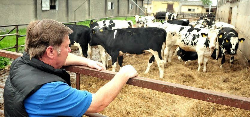 Eine Evakuierung seiner Tiere plant Ehrenfried Kühn nicht.