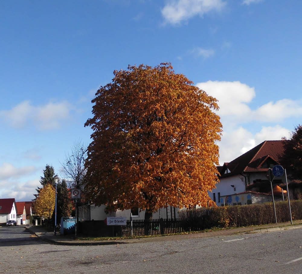 Wo wurde dieses Bild aufgenommen? Und welche Geschichte verbinden Sie damit?