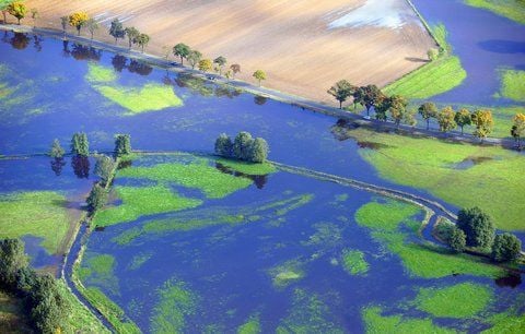 Blick auf die vom Hochwasser der Schwarzen Elster überflutete Wiesen und Felder unweit dem südbrandenburgischen Elsterwerda. (FOTO: DPA)