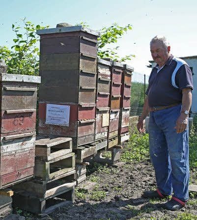 Die Bienen gehören Vereinsmitglied Bernd Brix. Dieter Baron kontrolliert.
