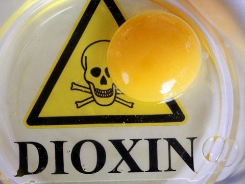 Der Dioxin-Skandal hat bundesweit die Verbraucher verunsichert.