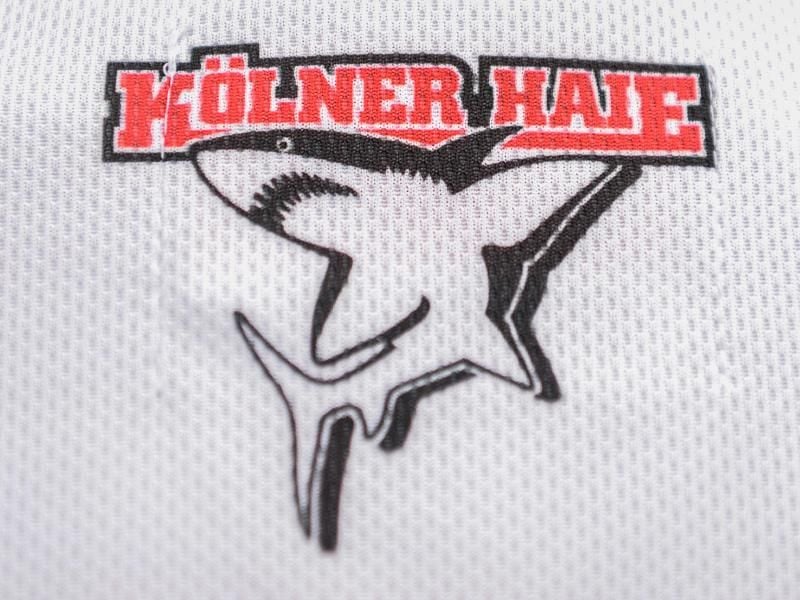 Die Kölner Haie haben mit über 13.000 Fans den höchsten Zuschauerschnitt aller deutschen Sportclubs außerhalb des Fußballs. Foto: picture alliance / dpa