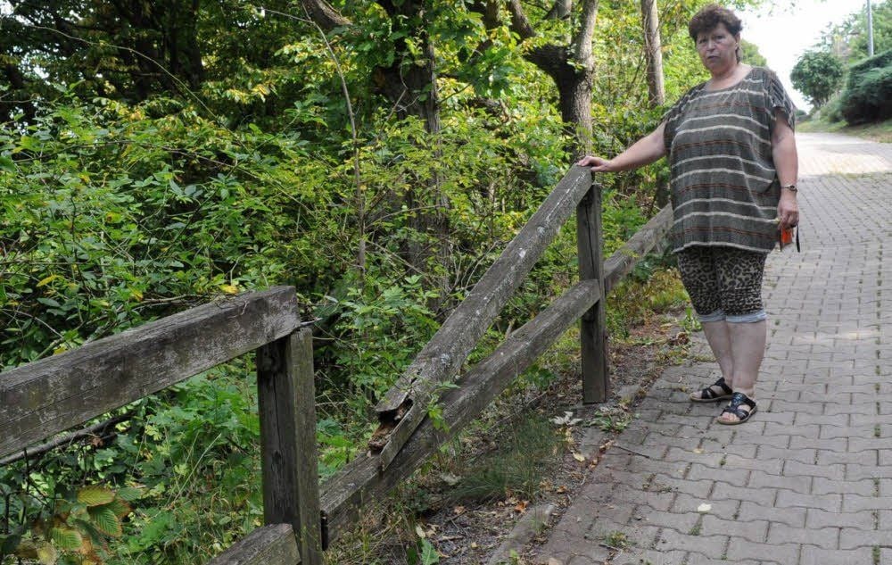 Sylvia Beinke zeigt das marode Holzgeländer am Mühlberg in Möllendorf.