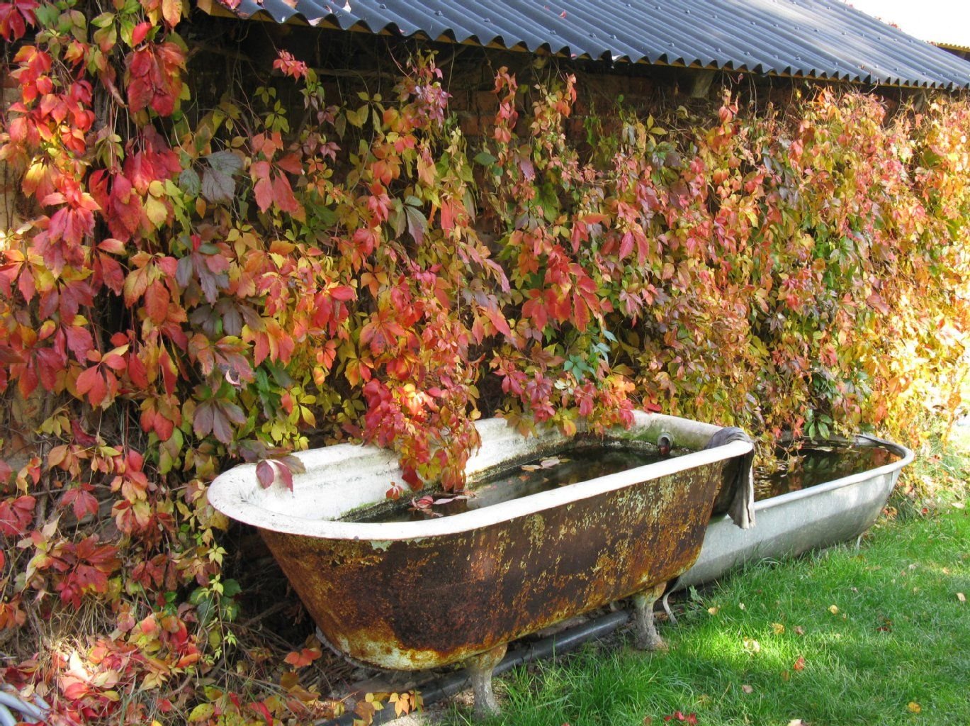 Platz 1: "Hinterhofromantik" von Petra Dauster aus Elsteraue.