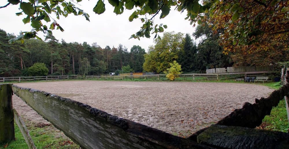 Die Halle wird auf dem bisher für Dressurwettbewerbe genutzten Platz hinter dem Stallgebäude gebaut.
